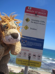 Lewis the Lion doesn't like the thought of there being snakes on the beach!