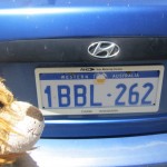 Lewis the Lion sees a Western Australia Number Plate