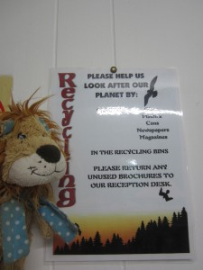 Lewis the Lion sees signs in hostels encouraging him to recycle