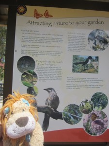 Attracting nature to your garden