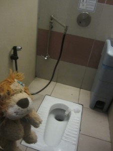 Lewis the Lion has his first experience of a Malaysian toilet!