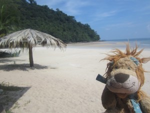 Lewis the Lion loves this deserted beach paradise