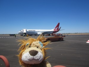 Lewis the Lion feels the heat as he steps off the plane
