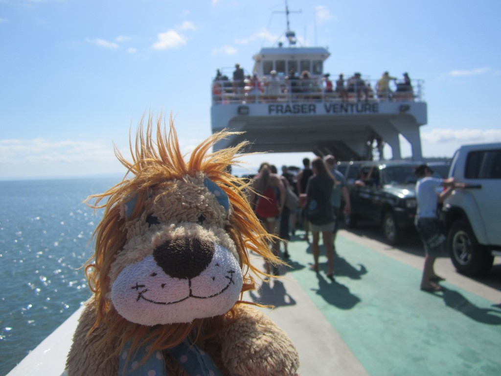 Lewis the Lion catches a ferry to Fraser Island