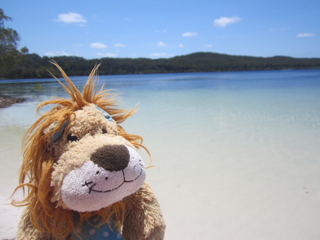 Fraser Island: the largest sand island in the world