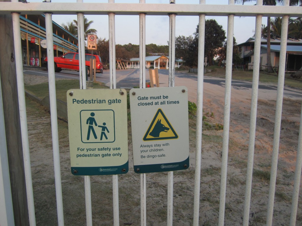 Dingo-proof fences are in use