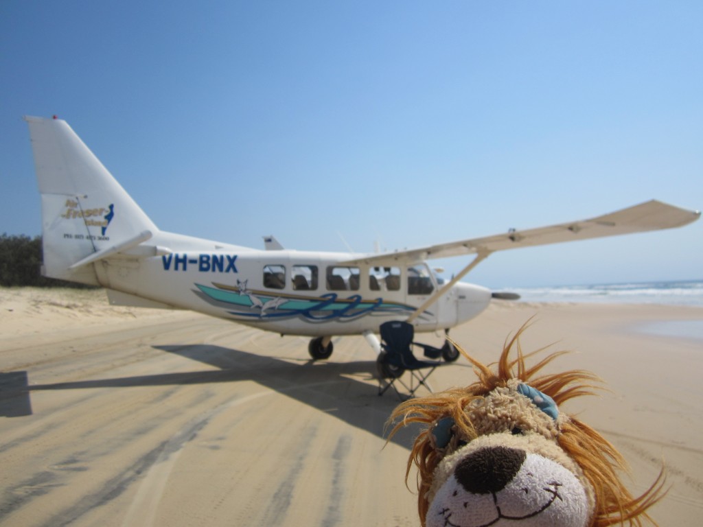 Lewis the Lion looks longingly at the lightweight aircraft