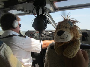 Lewis looks comfortable beside the pilot
