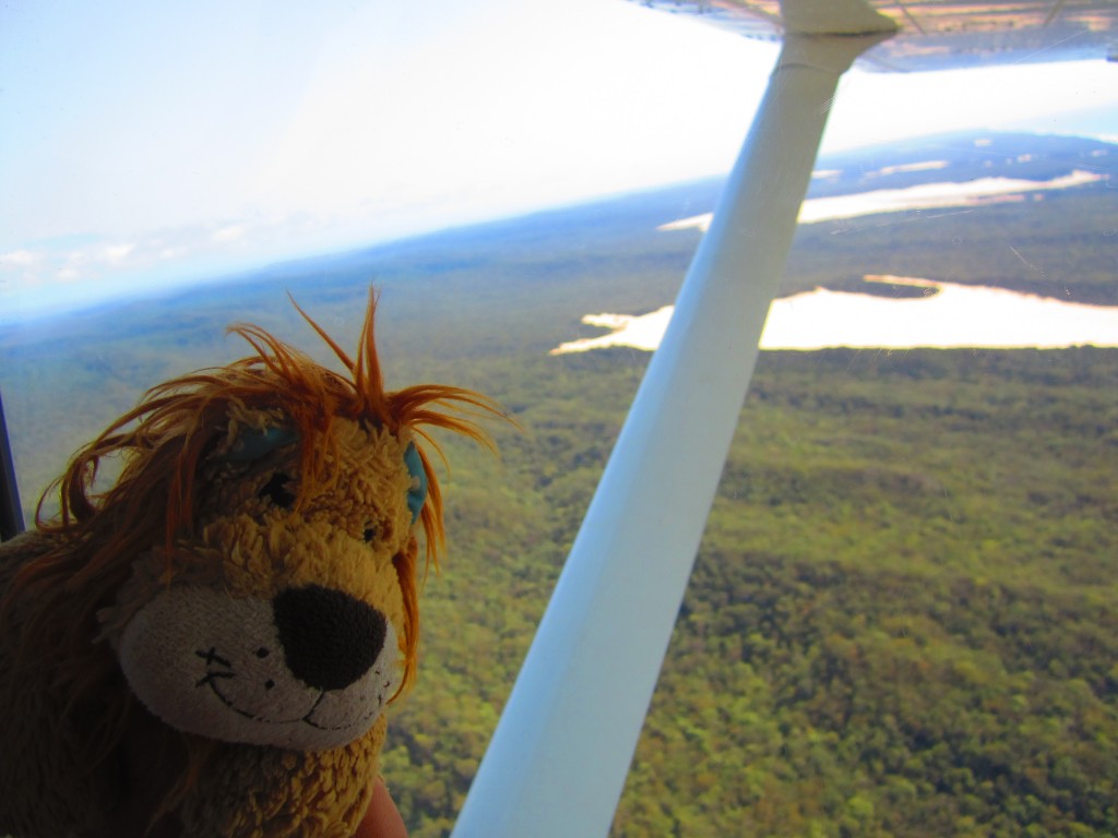 Lewis the Lion sees the rainforest and lakes from above