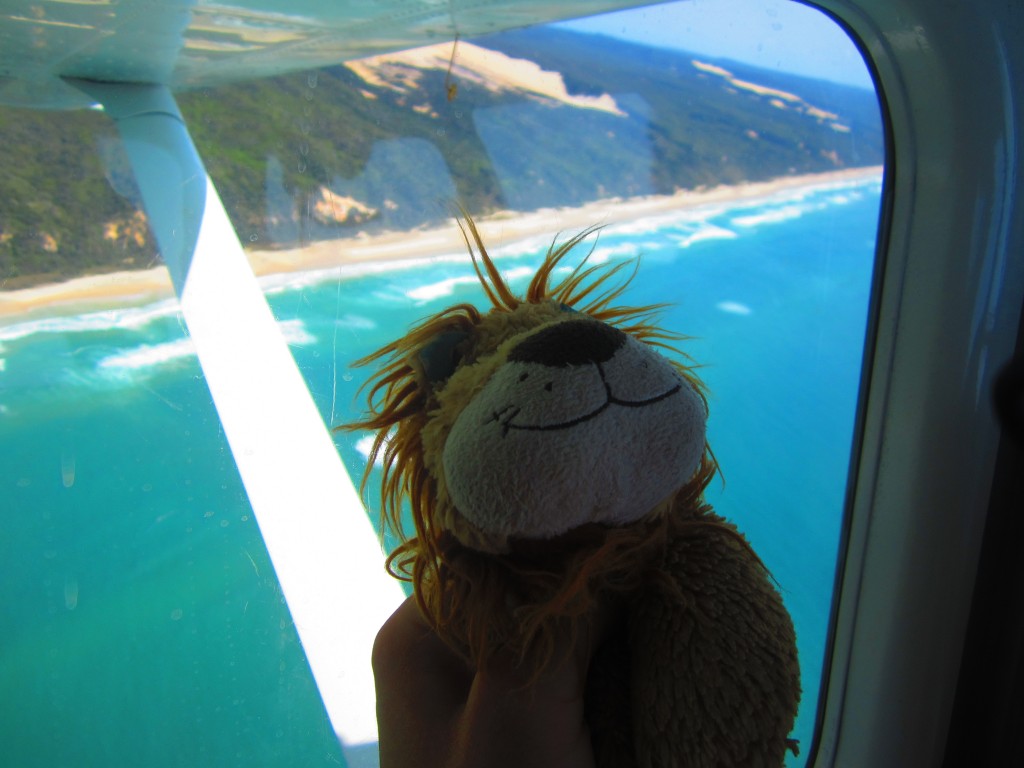 Lewis the Lion can see the blue sea and sandy beaches from the plane