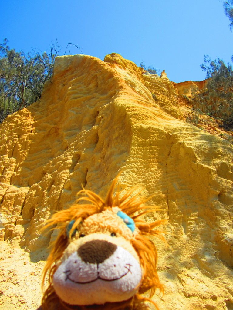 Lewis the Lion admires the coloured sandy rocks of the Pinnacles