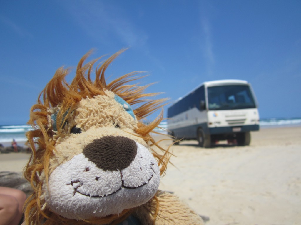 Lewis the Lion thinks that his coach is a sturdy affair!