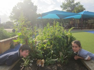 The children teach Lewis the Lion how to grow your own fruit and veg