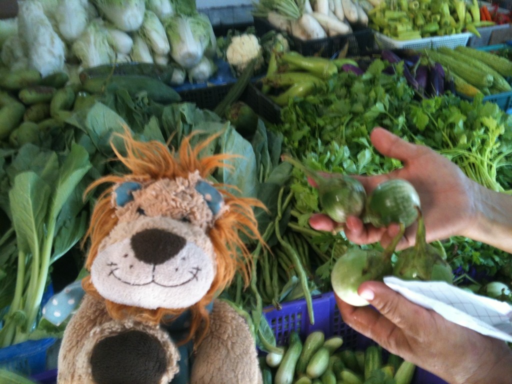 The teacher chooses some baby aubergines