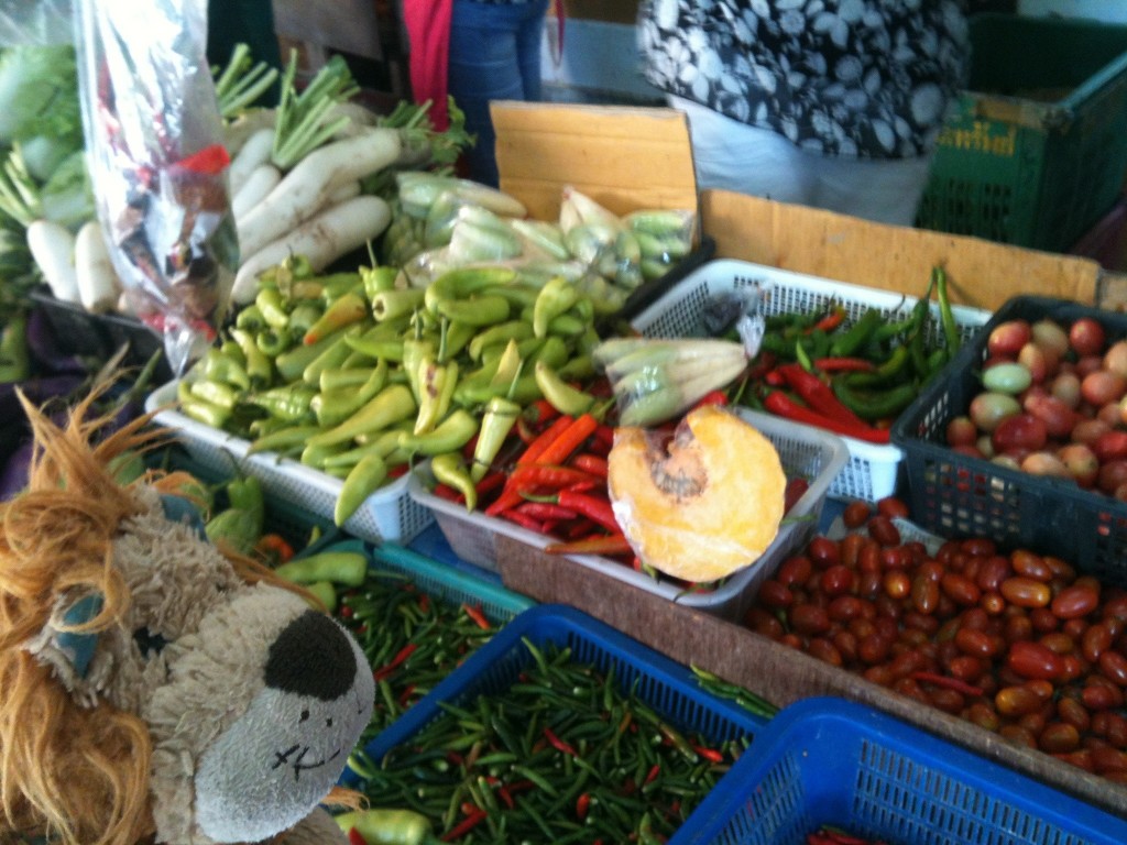 Lewis the Lion inspects the wide variety of chillies