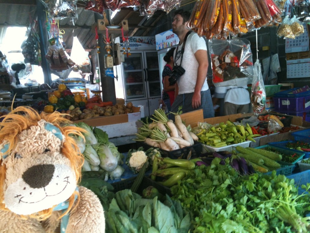 Lewis the Lion loves the colourful variety of vegetables on the market stall