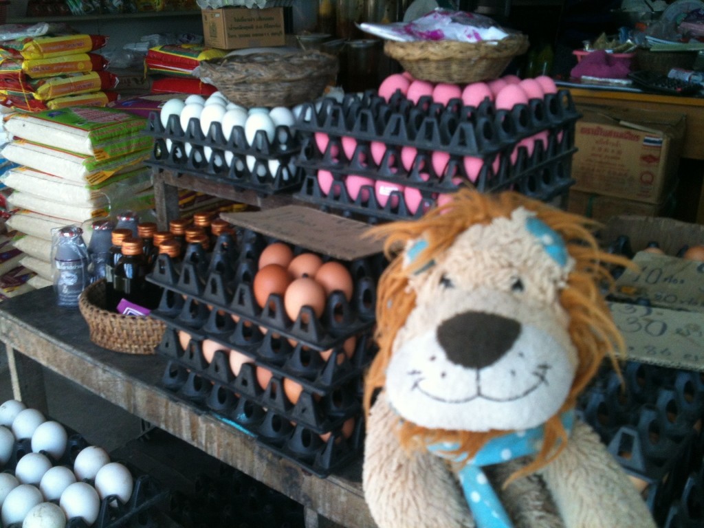 Lewis the Lion sees some different coloured eggs
