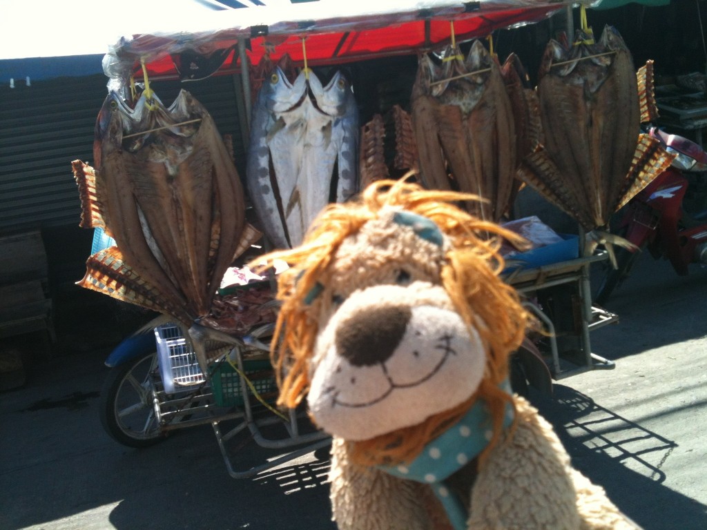 Lewis the Lion sees some dried, cured fish in the market