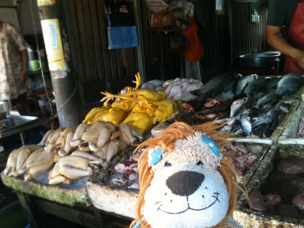 Brightly coloured chickens together with fish