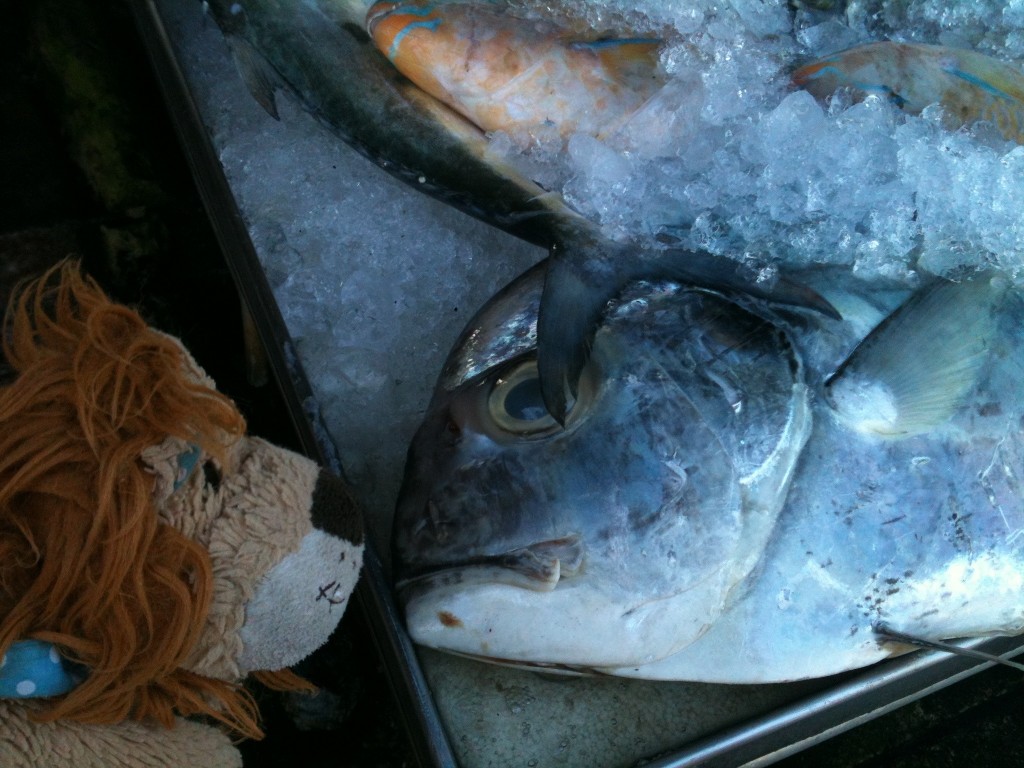 Lewis eyeballs a huge fish!