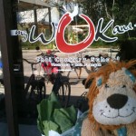 Lewis the Lion at the 'My Wok and Me Thai Cookery School'