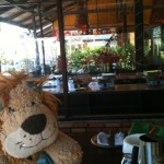 Lewis the Lion stands at the cookery preparation table
