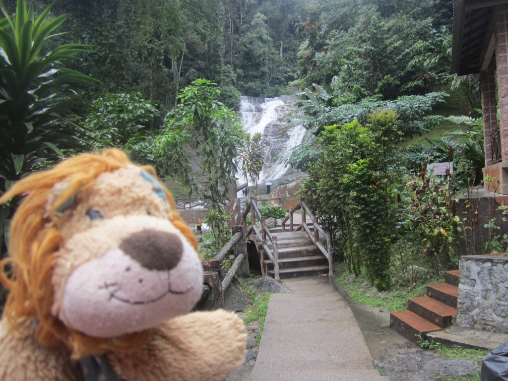 Lewis the Lion comes across locals bathing in a waterfall