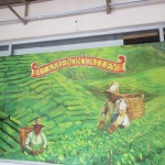 A picture of the traditional tea pickers in the Cameron Highlands