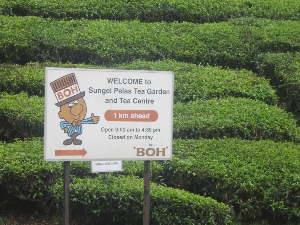 Boh Tea is one of Malaysia's top tea brands