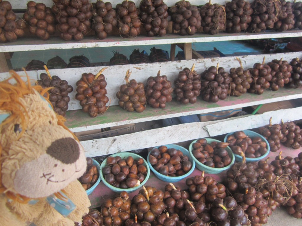 Lewis the Lion is relieved to take a break by this salat fruit stall