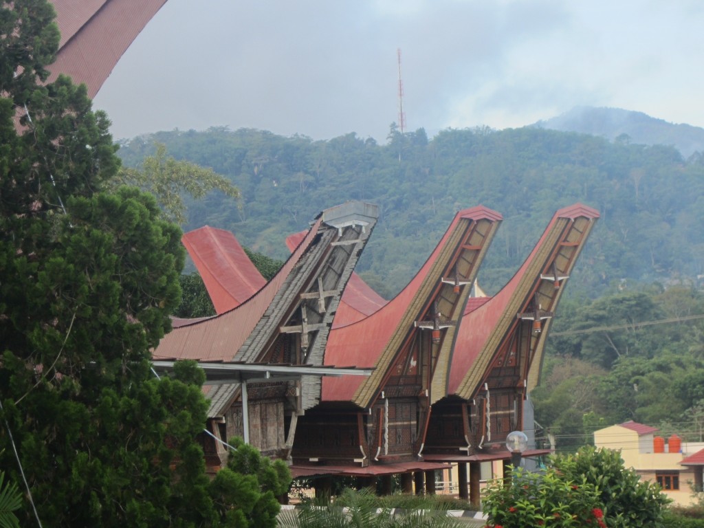 The unique crescent-shaped roofs of Tana Toraja