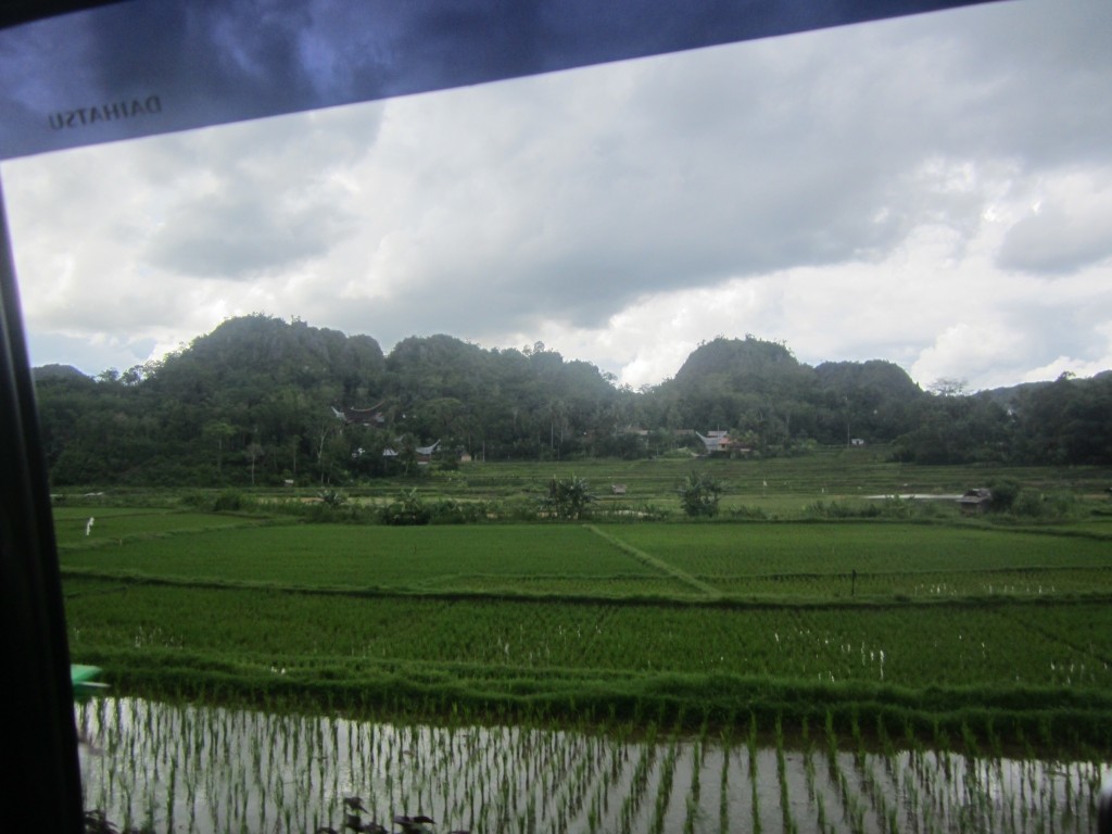 Looking out onto the rice paddies of Tana Toraja