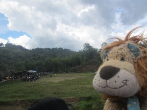 Lewis the Lion watches the excitement from a distance!