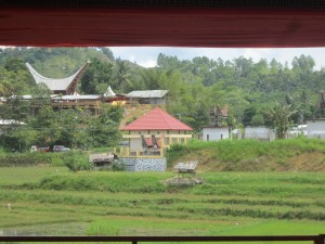 The rice paddy fields of Tana Toraja