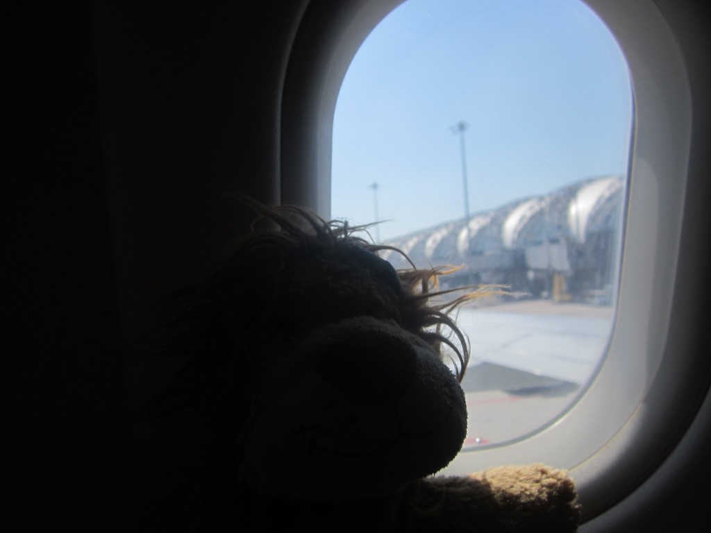 Lewis the Lion gazes out onto the futuristic looking Suvarnabhumi Airport