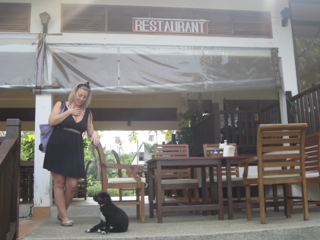Sinead meets one of the hotel's residents: Shampuay, the puppy dog