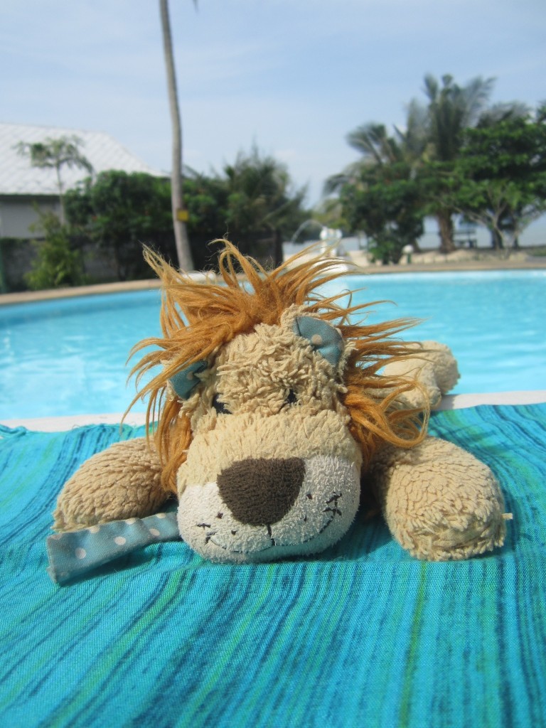 Lewis the Lion relaxes by the poolside