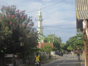 Mosques are found at frequent intervals up the road