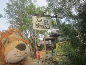 Lewis the Lion is delighted to stay at the welcoming Salassa guesthouse on Christmas Day