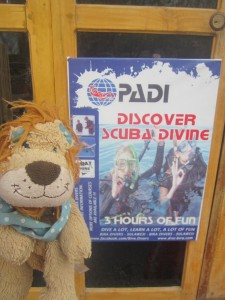 Lewis the Lion can't believe his luck: you can Scuba Dive here too!