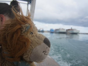 Lewis the Lion looks out over the edge of the dive boat