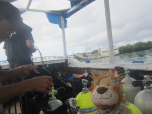 Lewis the Lion checks that the air cylinders are ready for their dive