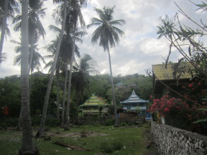 Some traditional South-East Sulawesi houses with the crossing eaves