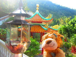 Lewis the Lion loves the Chinese style architecture