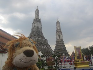 Lewis the Lion sees more royal pictures at Wat Arun