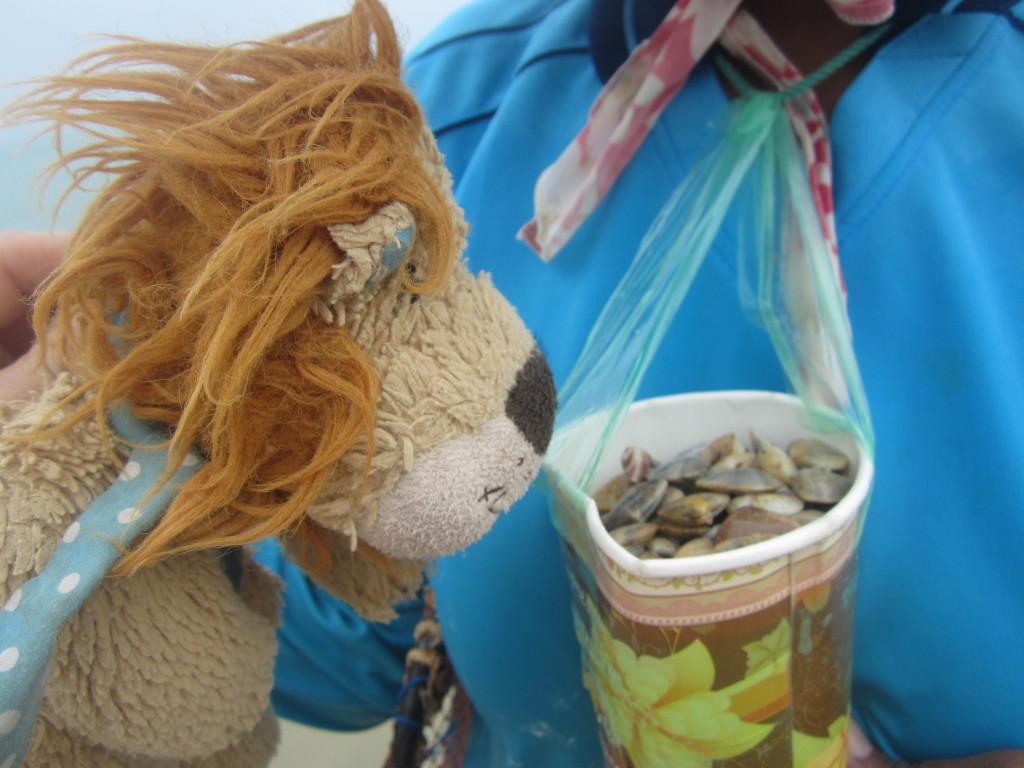 Lewis the Lion peers into the cockle picker's bucket