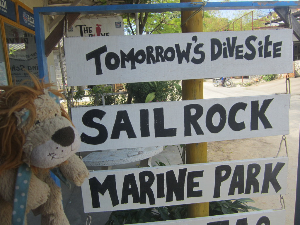 Lewis the Lion checks out the local dive sites