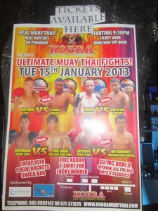 Lewis the Lion sees a poster for some Muay Thai Boxing Matches