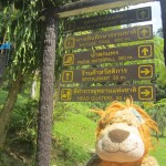 Lewis the Lion's guide takes them to the Dom Sila viewpoint