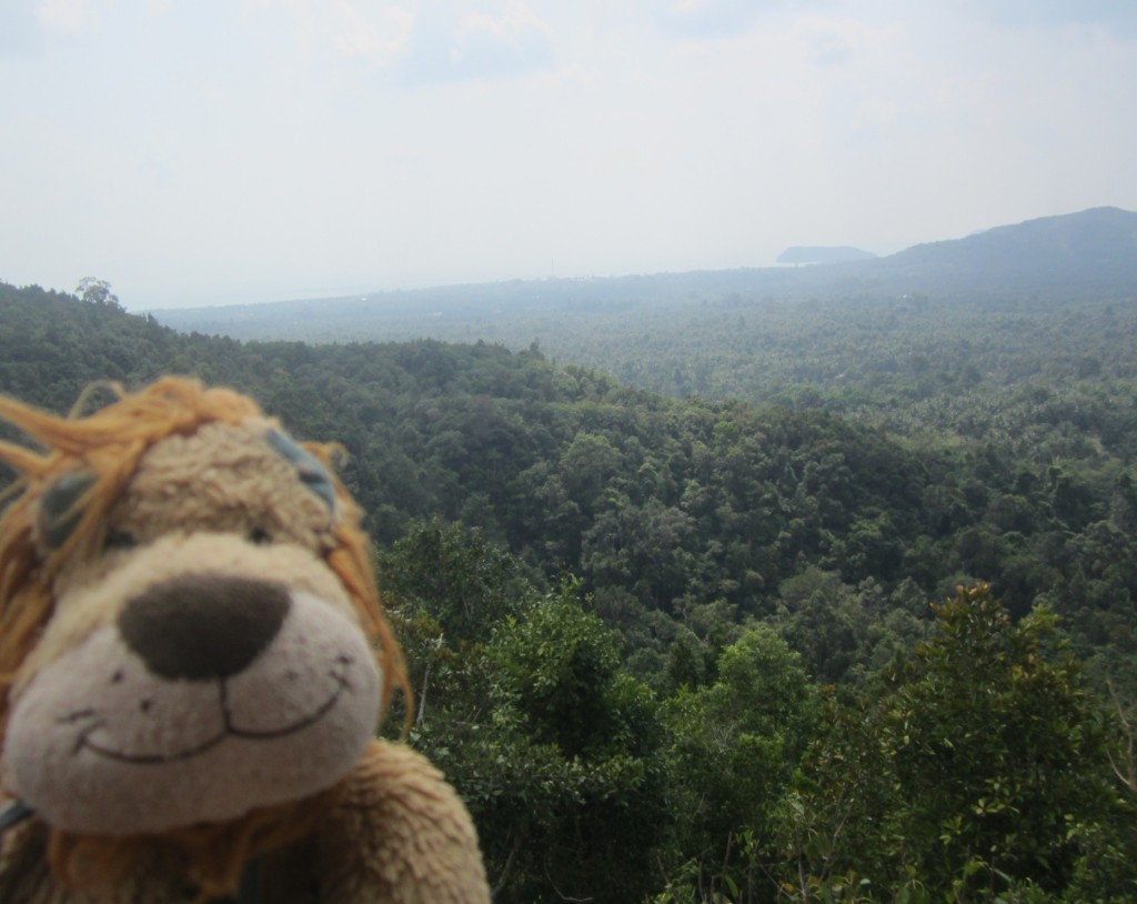 Lewis the Lion is proud to arrive at the Dom Sila viewpoint 600m up